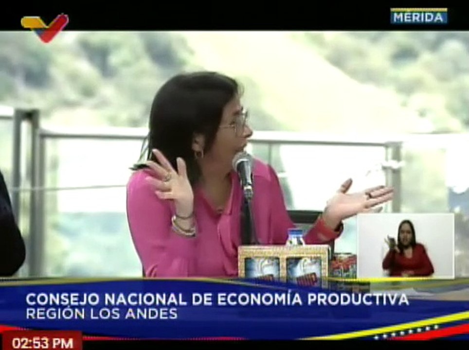Vpdta. Delcy Rodríguez: Con las fronteras abiertas se han venido dinamizando el comercio binacional
