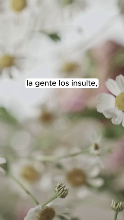 Verdades reveladas de la Biblia explicadas.