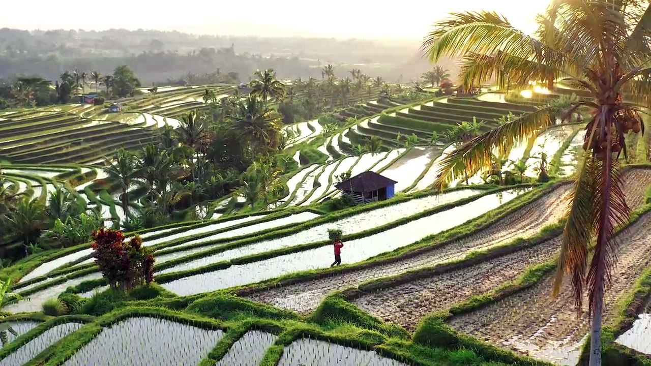 Bali in 8k ULTRA HD HDR - Paradise of Asia (60 FPS)