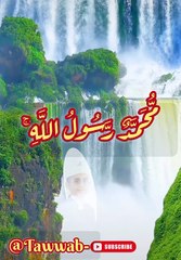Heart Touching Recitation Of Qur'an  #viralvideoシ #foryoupageシ #islamicvideo #tilawah #fyp #viralpost2024 #facebookviral