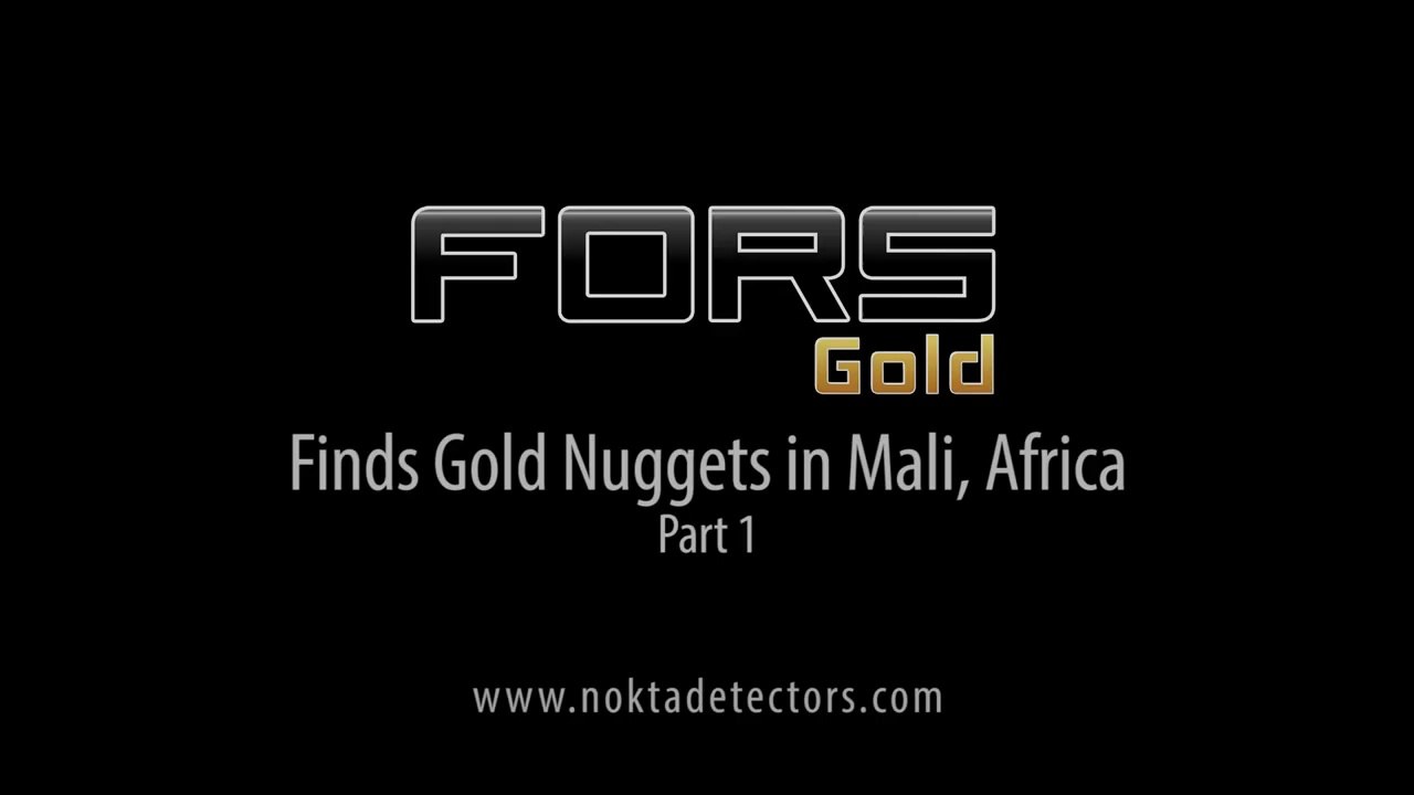 Fors Gold Detector Finds Its First Gold Nuggets in Africa Part1
