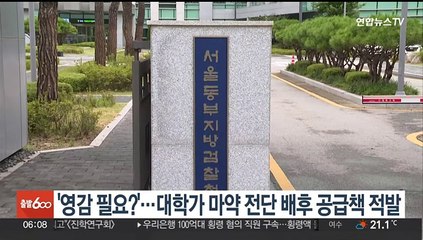 '영감 필요?'…대학가 마약 전단 배후 공급책 적발