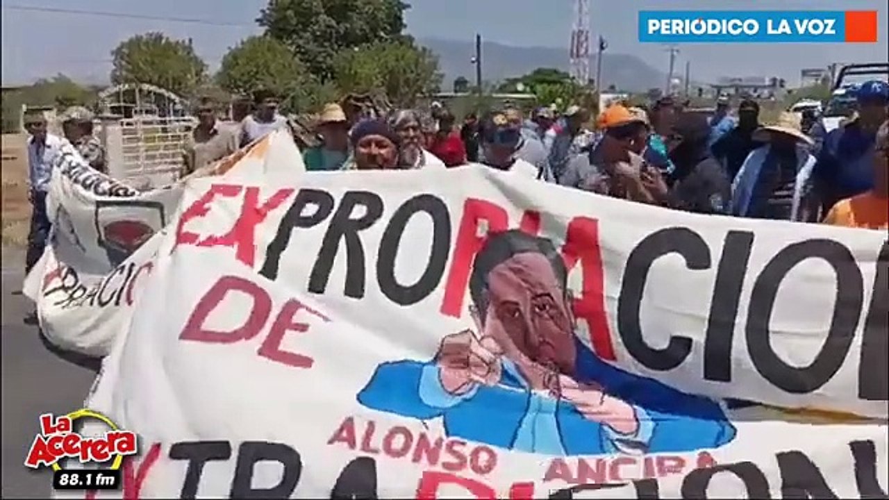 Periódico La Voz Noticias