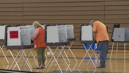 الديموقراطيون والجمهوريون خائفون من تأثير حملات التضليل