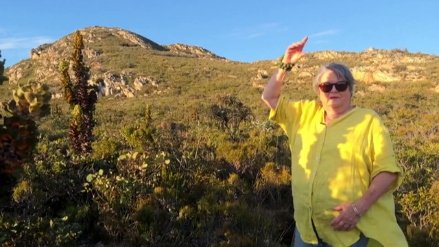 WA govt says the South Coast Marine Park will rival the Great Barrier Reef