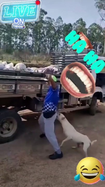 Dog bite....... #fun #funny #shorts #viral #entertainment #comedy #laugh