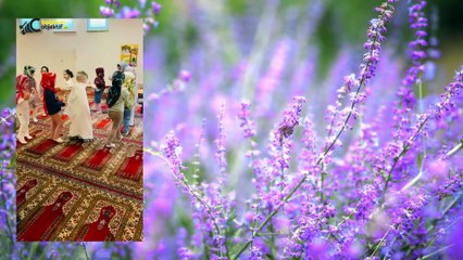 Oberhausen DİTİB Merkez Cami-i "Yıl Sonu Programı" 09.06.2024