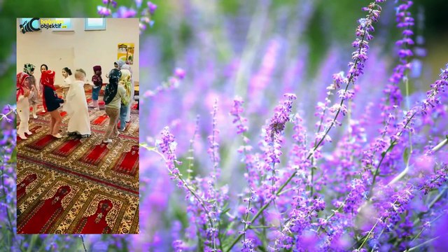 Oberhausen DİTİB Merkez Cami-i Yıl Sonu Programı 09.06.2024