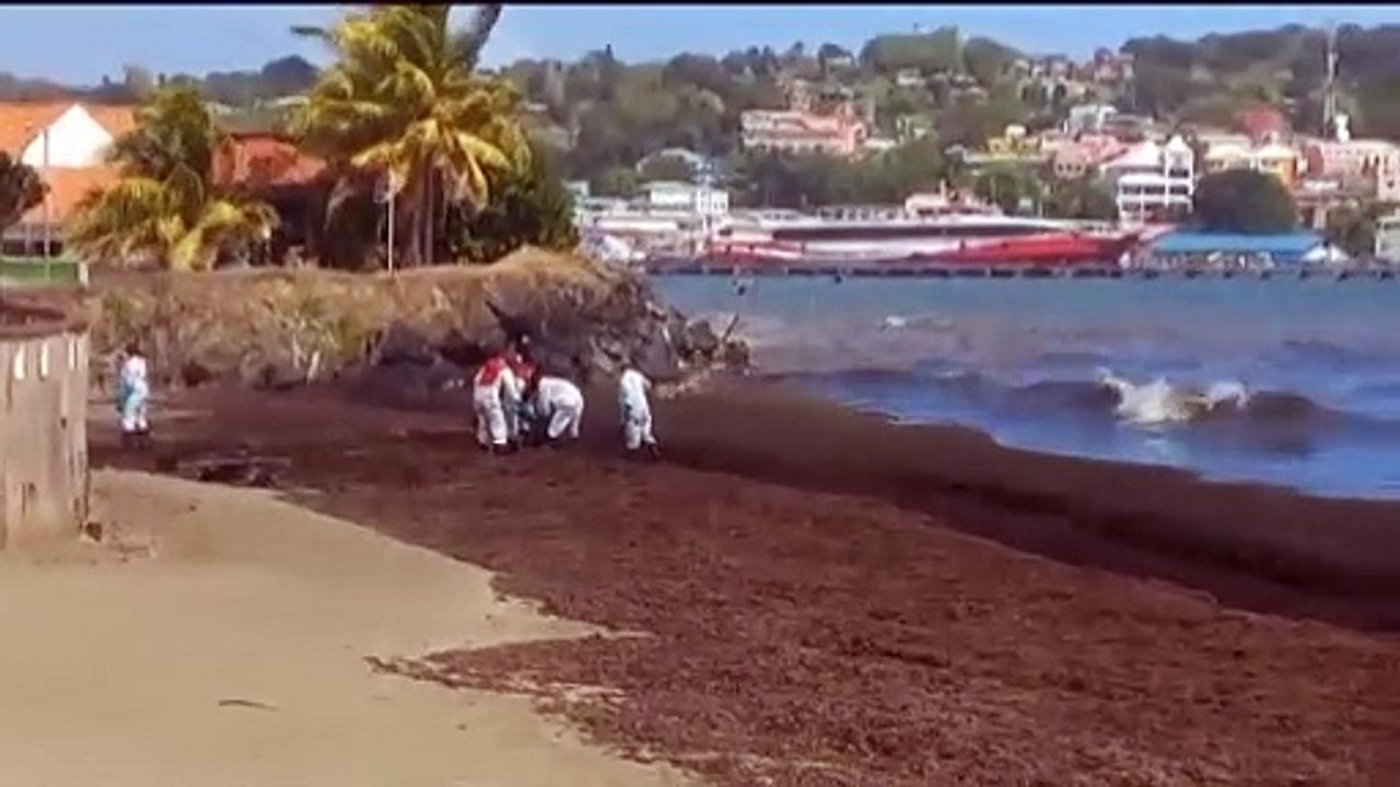 PM ON OIL SPILL