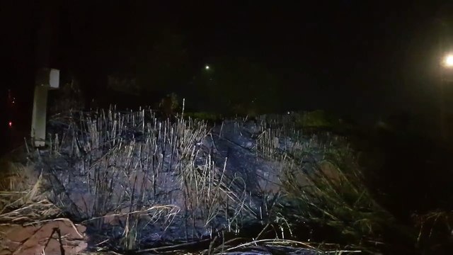 Incêndio em vegetação no Universitário mobiliza Corpo de Bombeiros