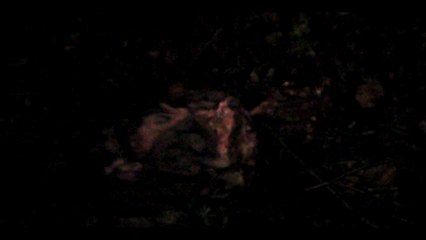 DEAD ONE'S - Full Cinematic Camping Zombie Adventure Short Film