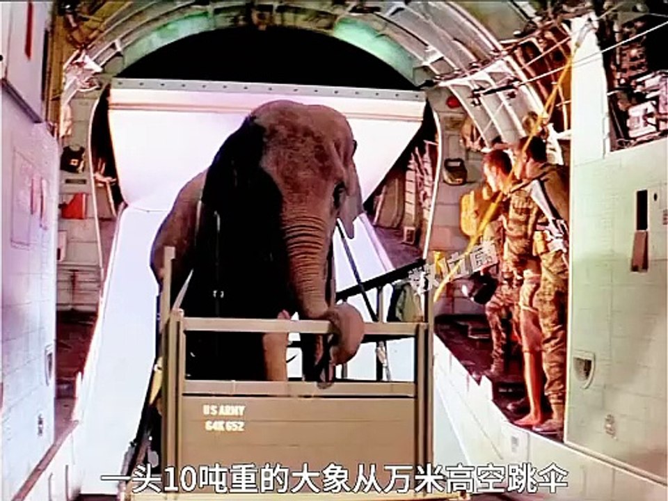 Magic experienc with elephant
