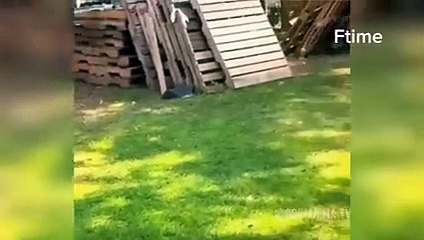 Funny_Videos_Compilation__Pranks_-_Amazing_Stunts-by_Mr_Vava#36(240p)