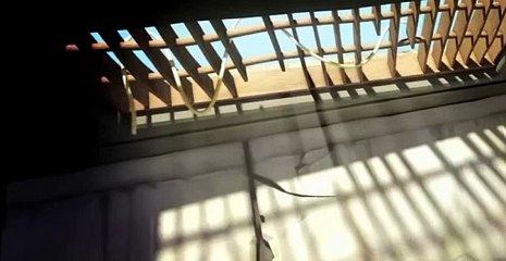 Larva Larva S01 E016 Spaghetti