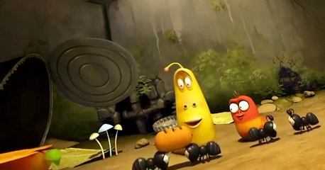Larva Larva S01 E040 Ant