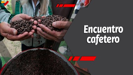 Programa 360 | III Encuentro Internacional de Café Especialidad Venezolana 2024