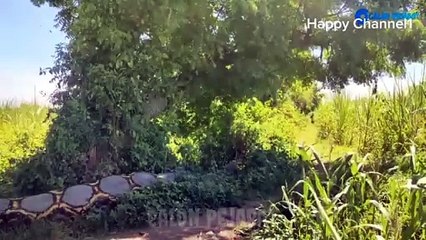 Funny videos compilation  prank amazing stunts 2024