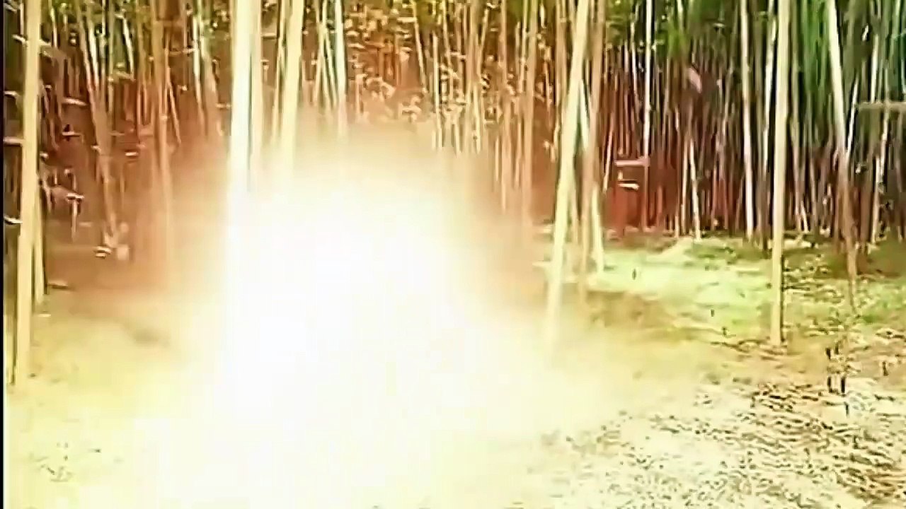 Chinese Fighter فائٹر کی فائٹ ایک بھڑیے کے ساتھ