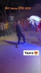 Best horse training in India and best a horse raider #hours#jstarindianboy #trending #vlog #sorts