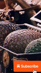 Game if thrones #movie #movieclips