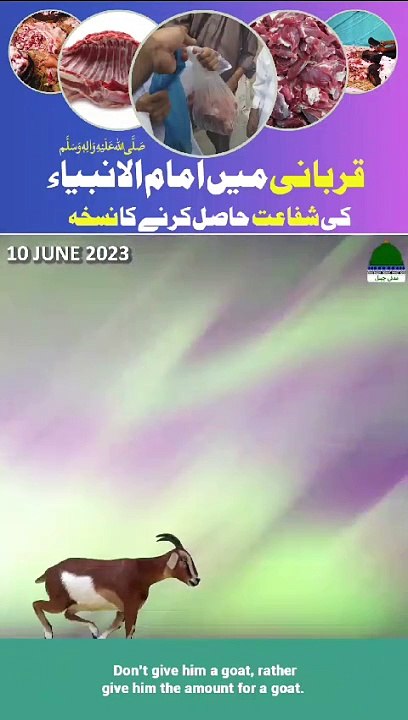 Qurbani me Syed zado ko dhondo