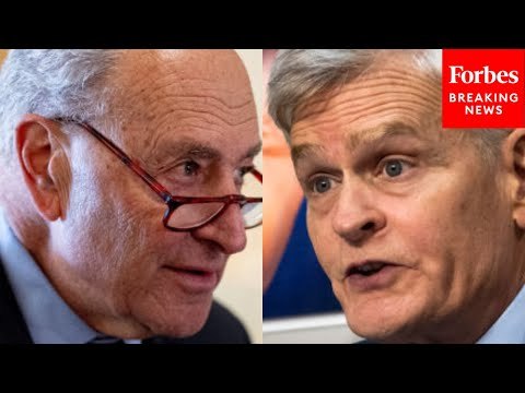 Cohort Of Senate Democrats Debate Their IVF Access Legislation - Then Bill Cassidy Responds