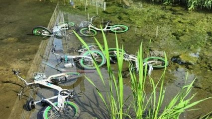 다리 밑에 따릉이 20여 대 던져 파손...20대 경찰 조사 / YTN