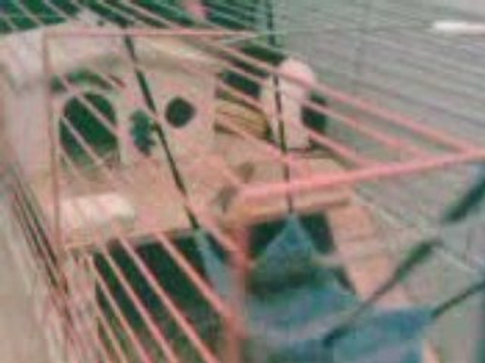 VID000