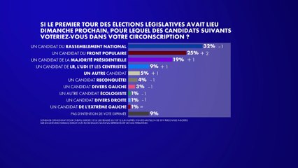 Sondage : le RN distance largement le Front populaire et la majorité présidentielle au premier tour des législatives