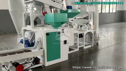 15T/D Rice Milling Machine Supplier- Hongjia Rice Mill #ricemillsupplier #ricemill