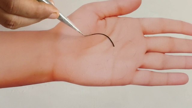 Eid special beautiful henna designs | easy mehndi design 2024