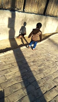 birds lover #shorts #viral #trending #foryou #tiktok #delicious #gaming #reels#dailymotion #France #Pakistan #Algeria #India #USA #Iran #entertainment #tour #fun