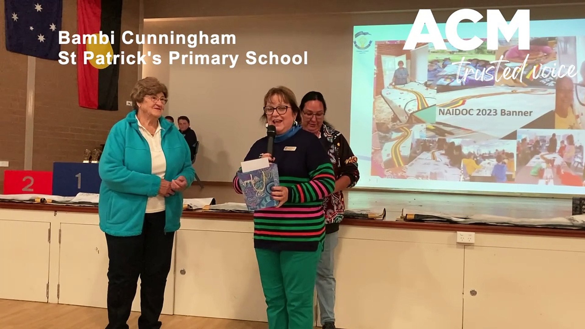 ⁣St Patrick's unveils mural