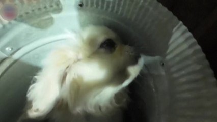 환풍구에 갇힌 아치 구조 대작전! [앵커리포트] / YTN