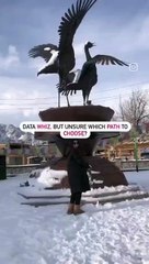 Data Analyst vs Data Scientist: Which Career Path Is Right for You? 🔍