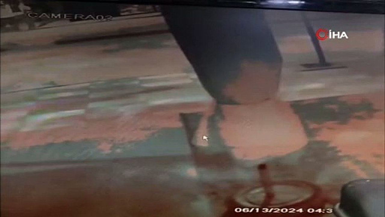 Elazığ’da korkunç görüntü! Başıboş köpekler kediyi böyle parçaladı