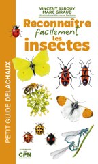 Reconnaitre facilement les insectes pour les grands débutants