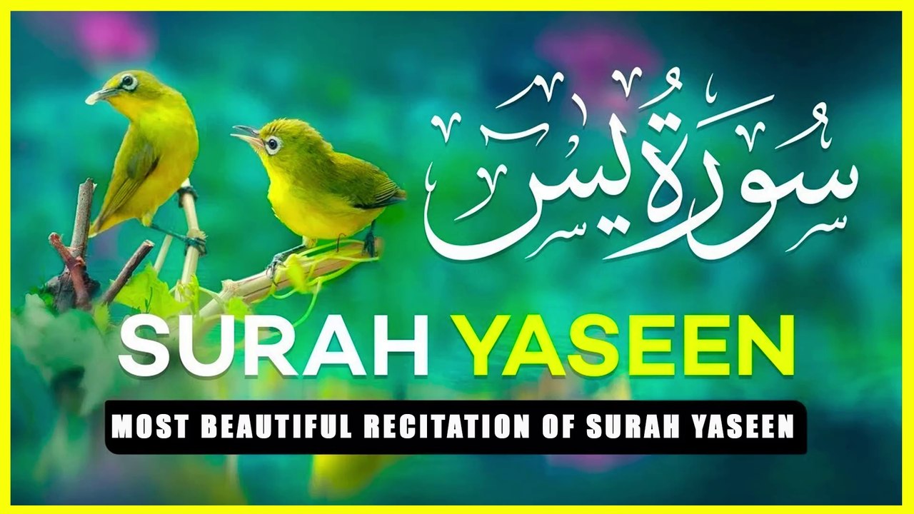 Most beautiful recitation of Surah Yaseen (Yasin) سورة يس