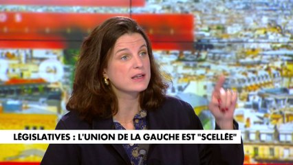 Eugénie Bastié : «C’est la gauche modérée qui joue sur les peurs»