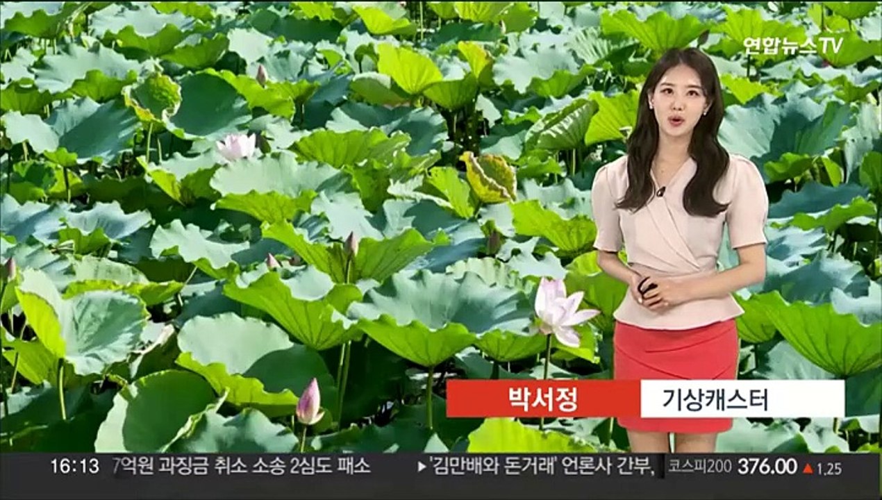 [날씨] 서울 33도, 올해 들어 가장 더워…곳곳 폭염특보