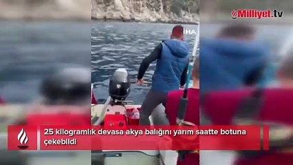 25 kilogramlık devasa akya balığını yarım saatte botuna çekebildi