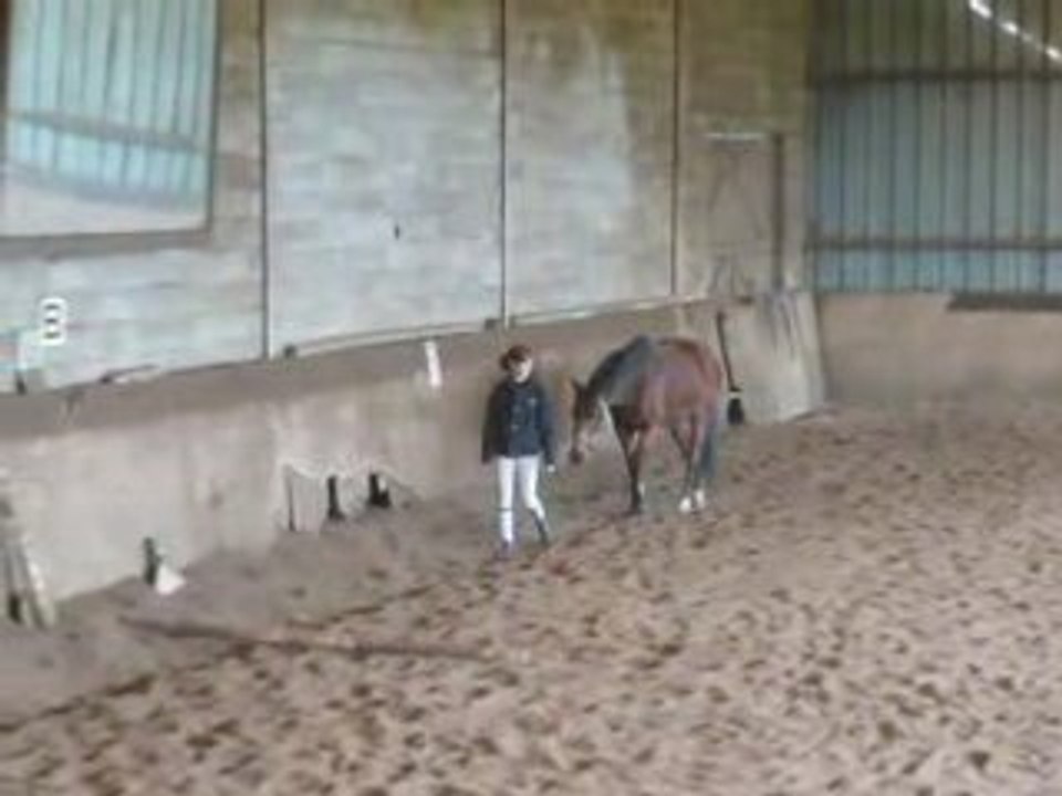 VIDEO°2