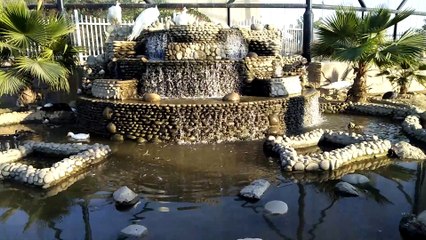 birds bath #shorts #viral #trending #foryou #tiktok #delicious #gaming #reels#dailymotion #France #Pakistan #Algeria #India #USA #Iran #entertainment #tour #fun