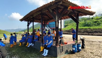 Melihat Peternakan Sapi Perah Mirip New Zealand di Jawa Tengah