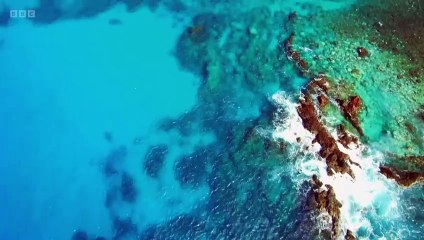 Unveiling the Mysteries of Easter Island's Origins 🗿