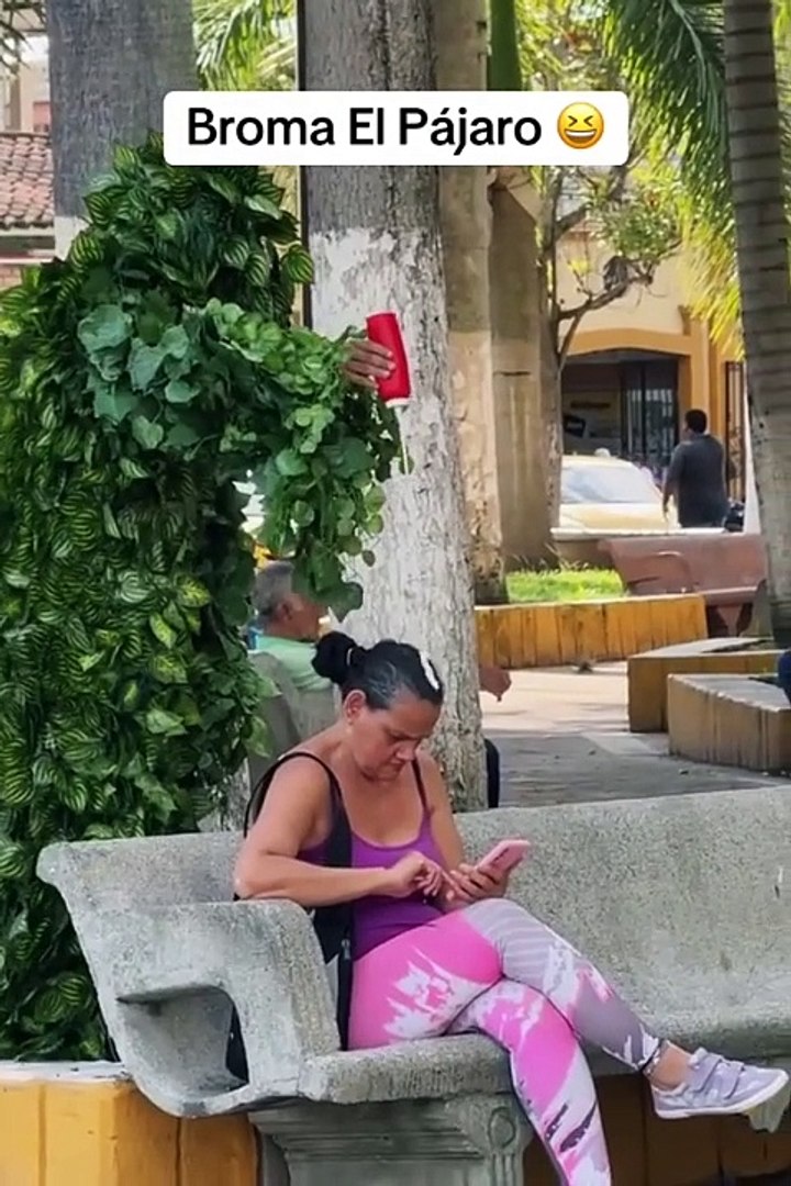 Funny comedy comedy videos