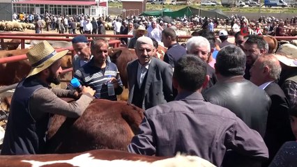 van'da sıkı pazarlıklar başladı