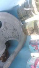 Tree planting is good system