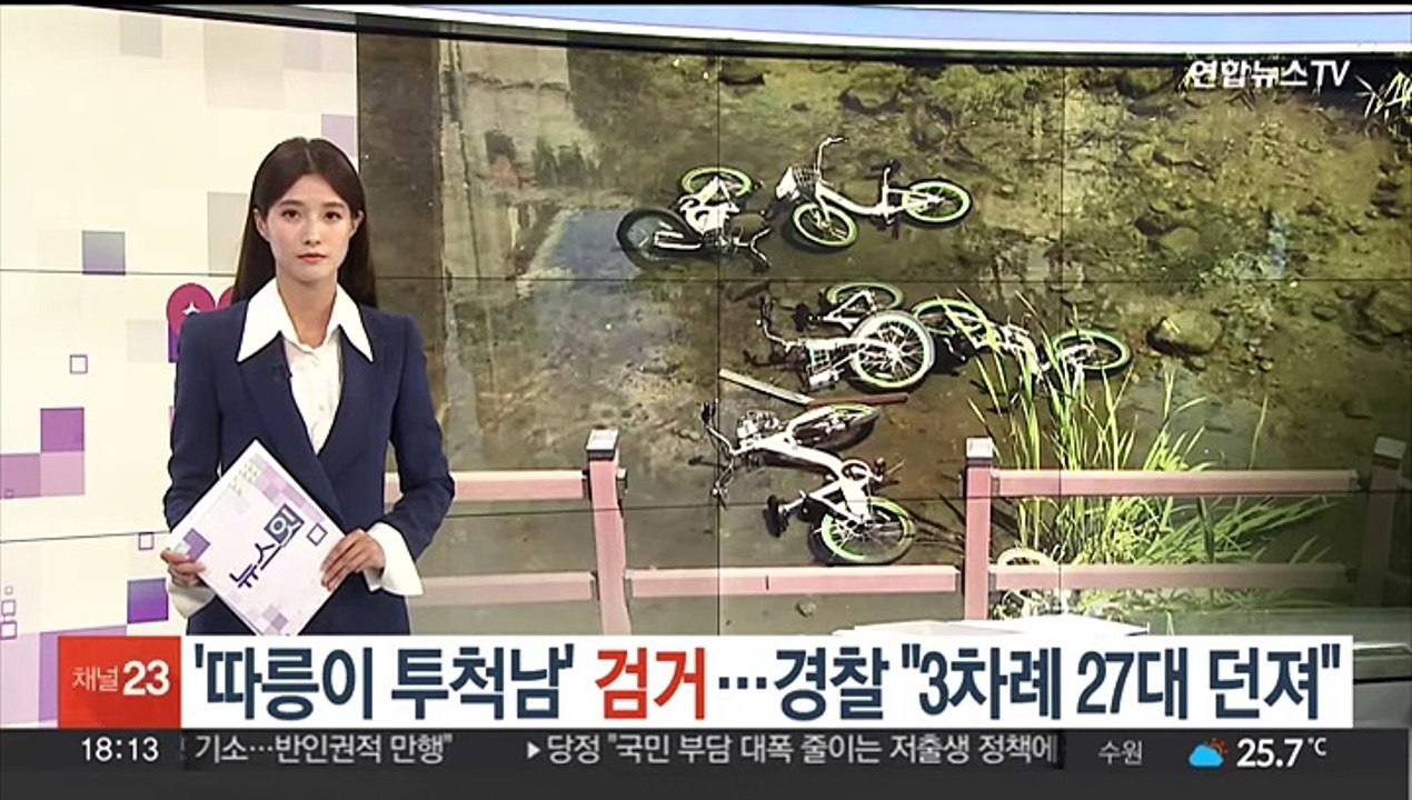 [단독] '따릉이 투척남' 검거…경찰 "3차례 걸쳐 27대 던져"