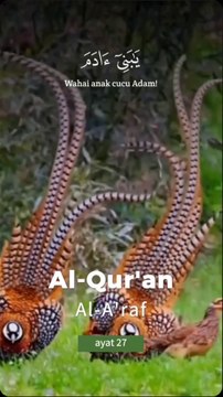 Beautyfull bird and Tilawat.e. Quran vedioQuran | Daily Recitation | surah kahf with urdu translation full | surah kahf tarjuma ke sath | surah kahf ki tilawat | surah kahf urdu tarjuma ke sath | surah kahf urdu tarjuma | surah kahf tilawat | surah kahf |